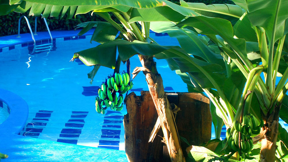 Hotel South Beach - Beachfront Jacó Esterno foto